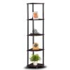 5-Tier Corner Display Shelf Bookcase in Espresso & Black