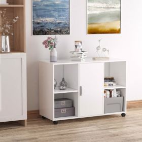 File Cabinet/ Storage cabinet