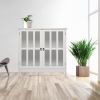 FCH Transparent Double Door Side Cabinet White